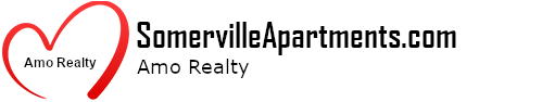 Amo Realty